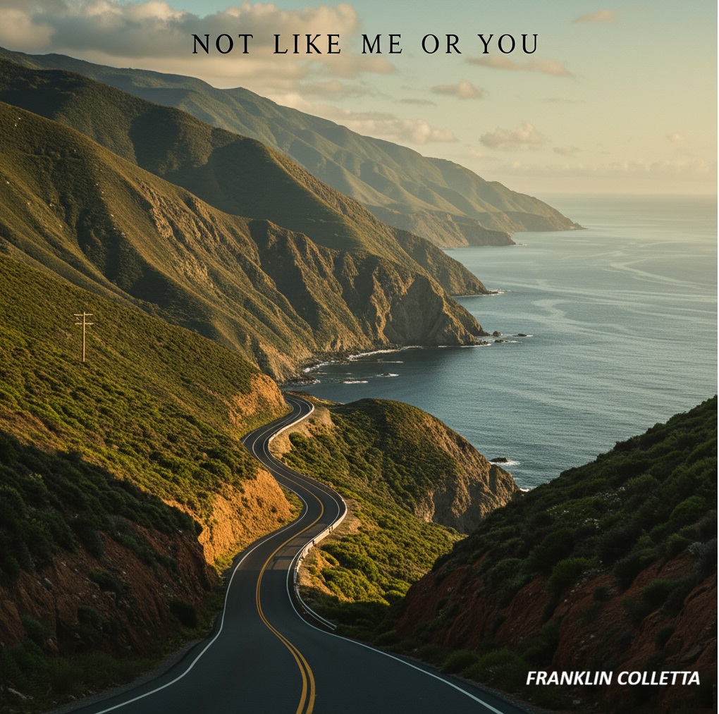 Not Like Me or You Folk-Rock Song Demo